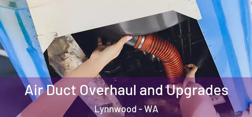  Air Duct Overhaul and Upgrades Lynnwood - WA