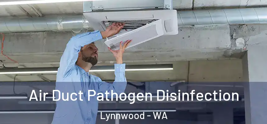  Air Duct Pathogen Disinfection Lynnwood - WA