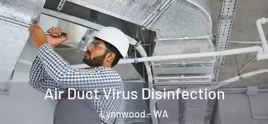 Air Duct Virus Disinfection Lynnwood - WA