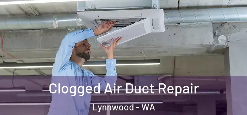  Clogged Air Duct Repair Lynnwood - WA