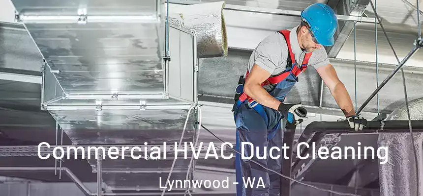 Commercial HVAC Duct Cleaning Lynnwood - WA