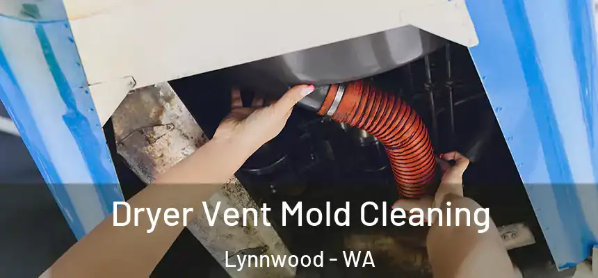  Dryer Vent Mold Cleaning Lynnwood - WA