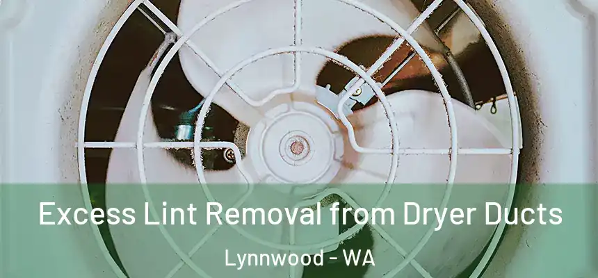  Excess Lint Removal from Dryer Ducts Lynnwood - WA