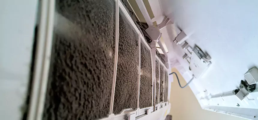 Preventive Air Duct Bacteria Removal in Lynnwood