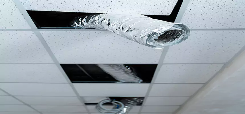 Our Air Duct Pet Hair Removal Services in Lynnwood, WA