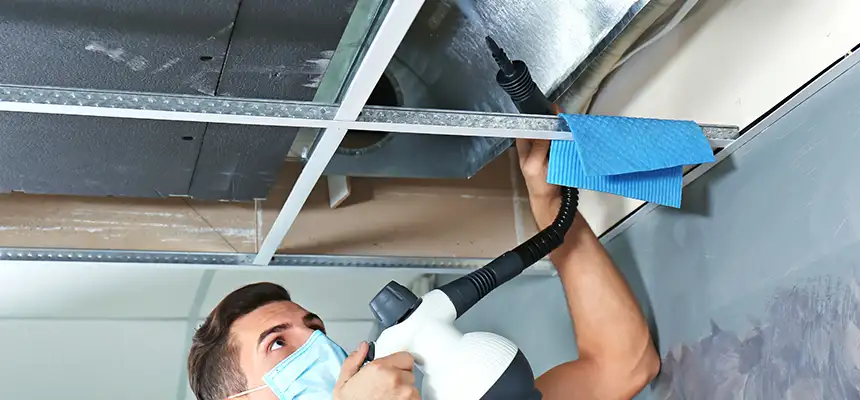 Our Air Duct Rodent Removal Services in Lynnwood, WA