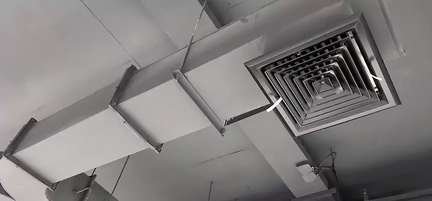 Restorative Allergy Relief Vent Cleaning – Coil, Blower & Housing Detail in Lynnwood