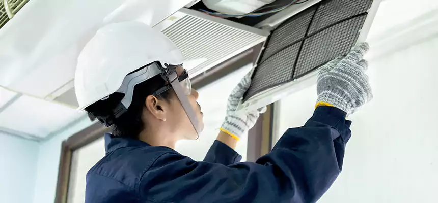 Our Mold & Mildew Removal from Air Ducts Services in Lynnwood, WA