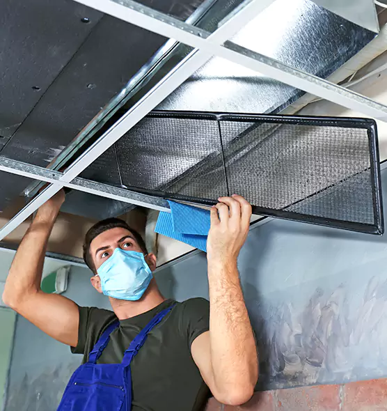 About Air Duct Bacteria Removal in Lynnwood