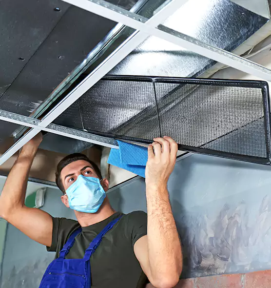 Professional Air Duct Pollen Cleaning in Lynnwood, WA