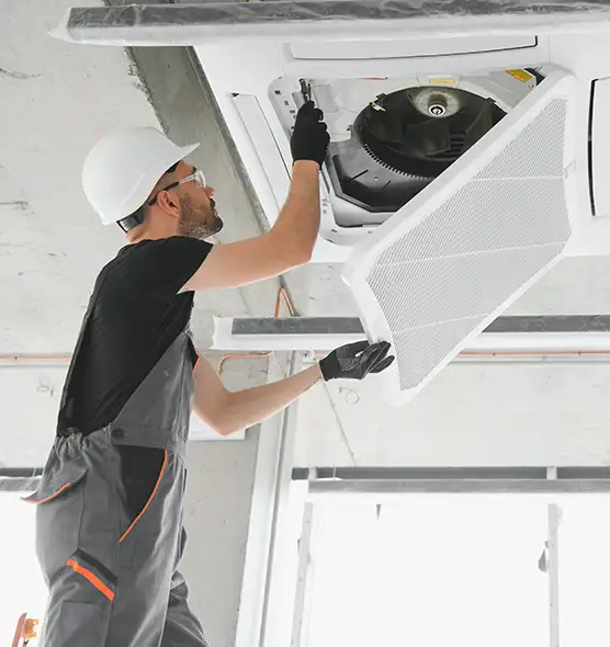 About Air Duct Rodent Removal in Lynnwood, WA