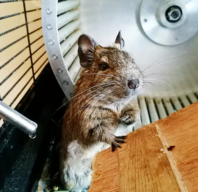 Why Homeowners & Businesses Trust Us Lynnwood, WA