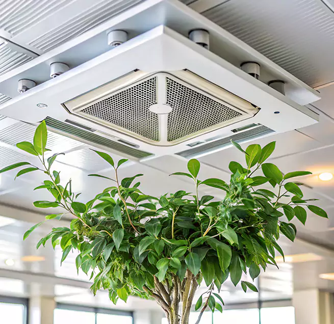 Why Homeowners & Businesses Trust Us in Lynnwood, WA